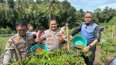 Bid Dokkes Polda Sulbar Inisiasi Kebun Ketahanan Pangan, Dorong Kesejahteraan Masyarakat