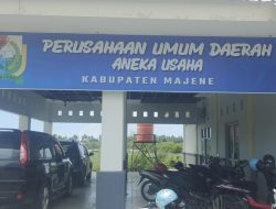 Direktur Umum dan Keuangan Perumda Aneka Usaha Majene Dipecat, Ada apa?