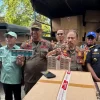 Palpasi Desak Polda Sulbar Tangkap Distributor Rokok Ilegal Usai Bea Cukai Sita 80 Dus di Polman dan Mamuju
